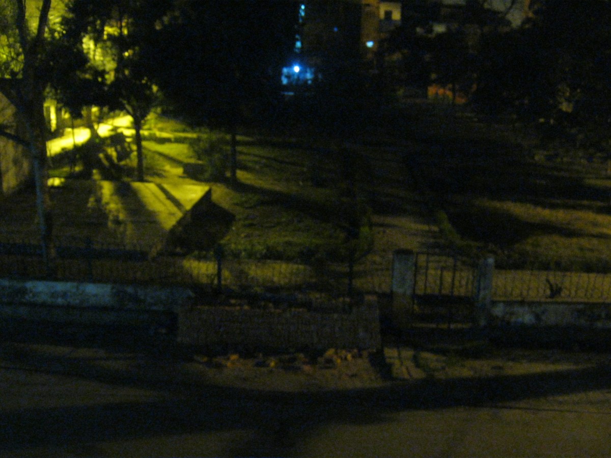 Concert de chiens&nbsp;(5’27)